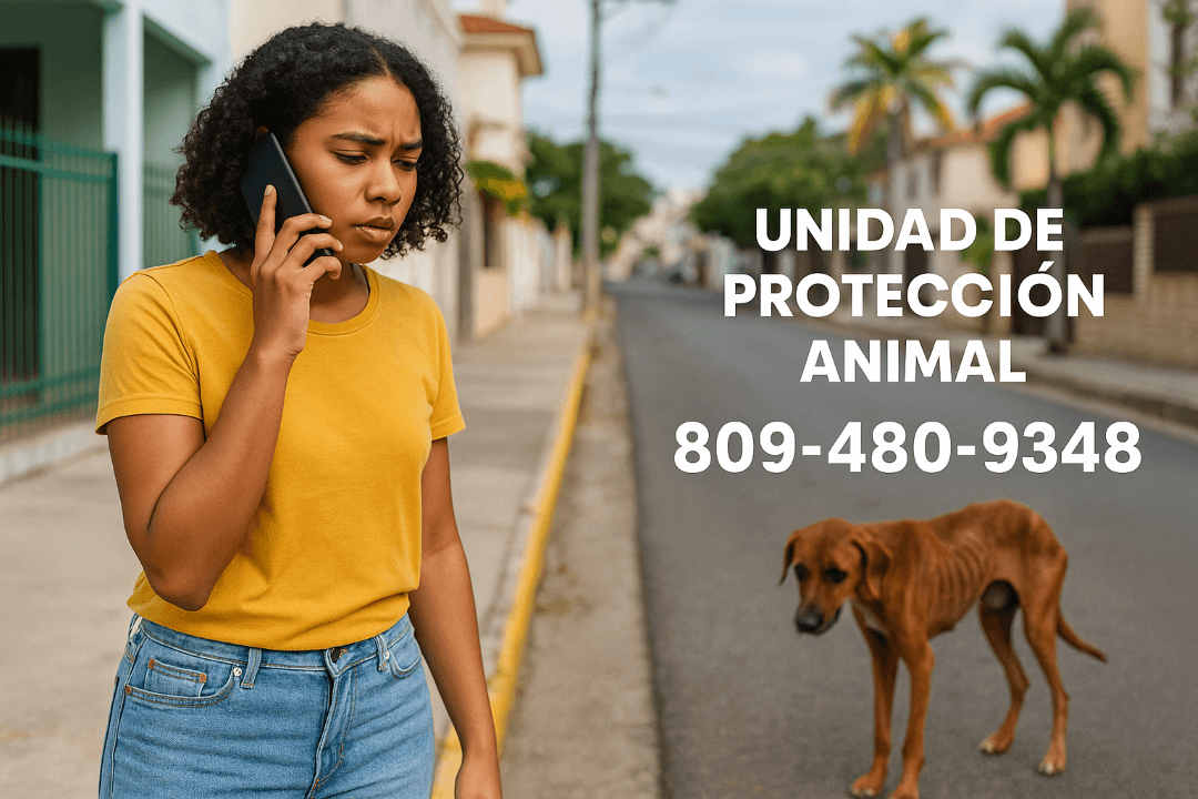 Persona utilizando el teléfono para denunciar maltrato animal RD al observar un perro en condiciones precarias