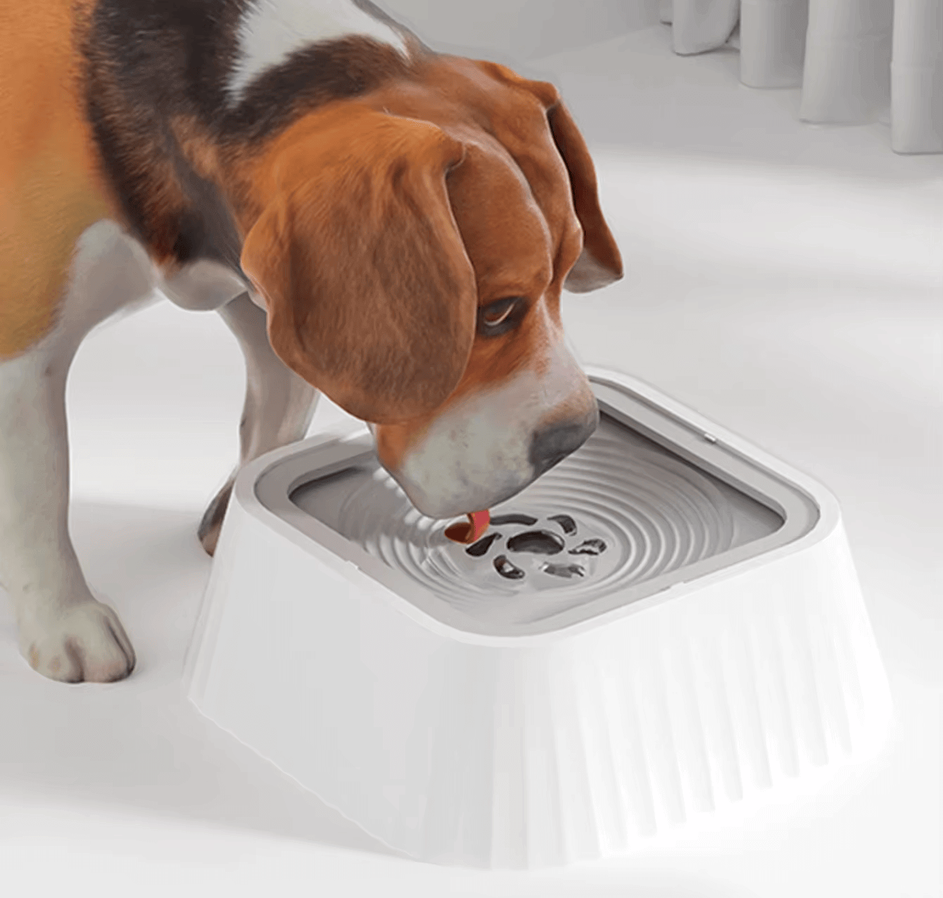 Fuente de agua para mascotas antiderrames apoyando el rescate animal en Reto Rescate