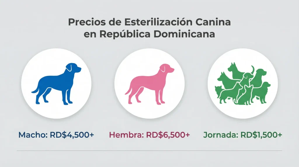 Infografía de precios sobre cuánto cuesta esterilizar un perro macho, hembra o en una jornada en República Dominicana.